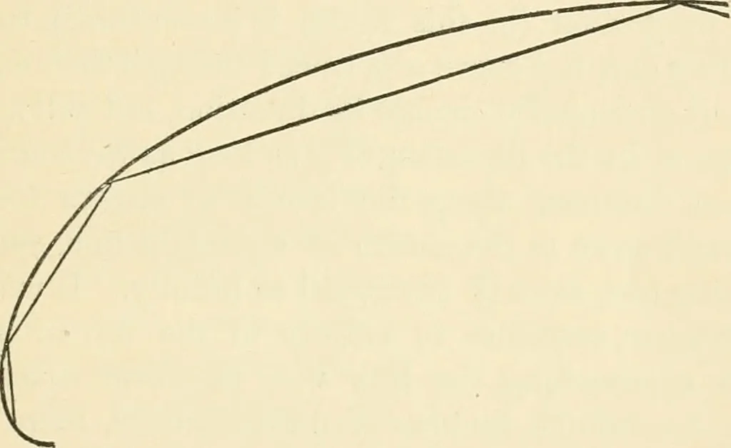 An illustration from Art culture: a hand-book of art technicalities and criticisms, 1873, leaf 68