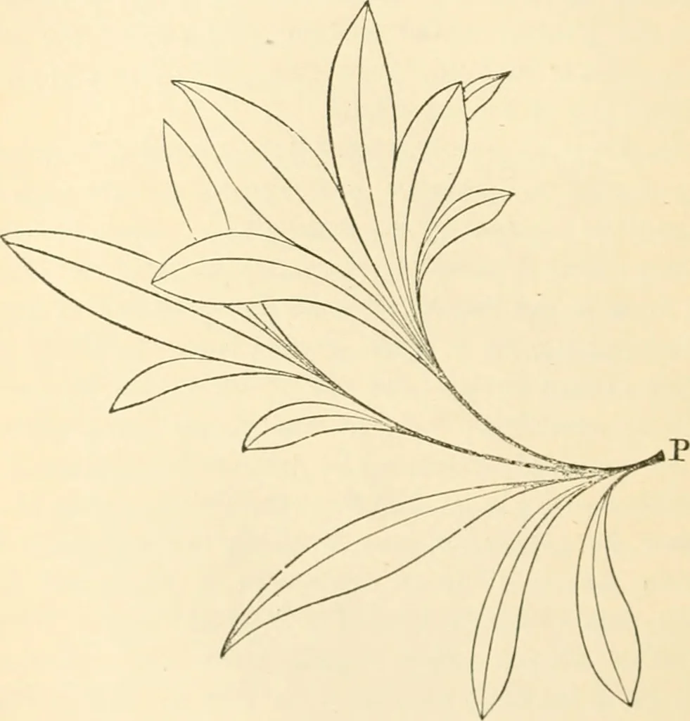 An illustration from Art culture: a hand-book of art technicalities and criticisms, 1873, leaf 83