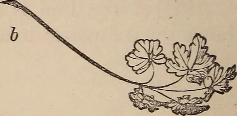 An illustration from Art culture : a hand-book of art technicalities and criticisms, 1873, leaf 107