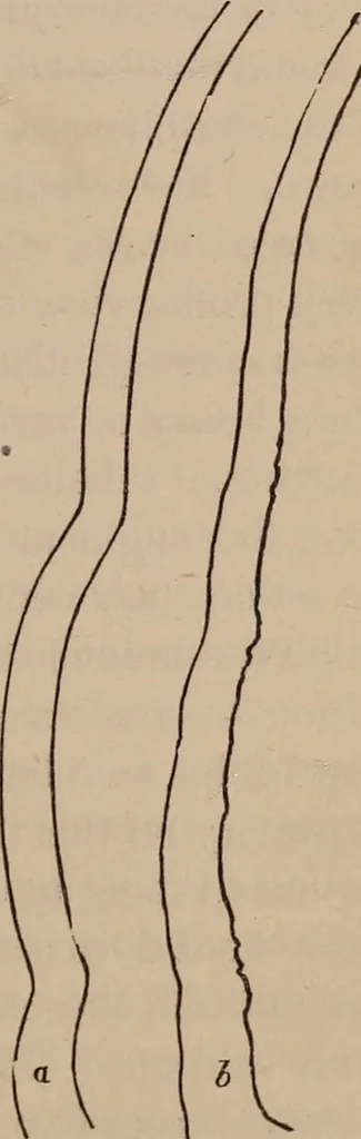 An illustration from Art culture : a hand-book of art technicalities and criticisms, 1873, leaf 108