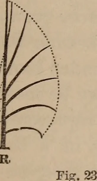 An illustration from Art culture : a hand-book of art technicalities and criticisms, 1873, leaf 110