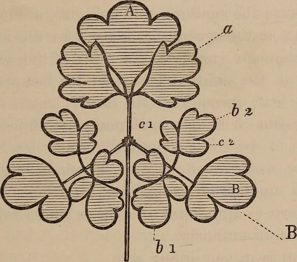 An illustration from Art culture : a hand-book of art technicalities and criticisms, 1873, leaf 114