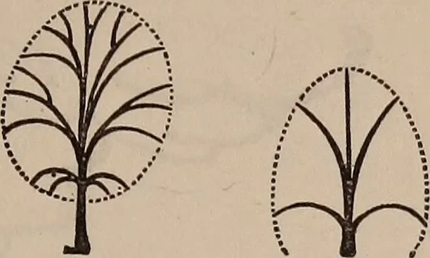An illustration from Art culture : a hand-book of art technicalities and criticisms, 1873, leaf 294