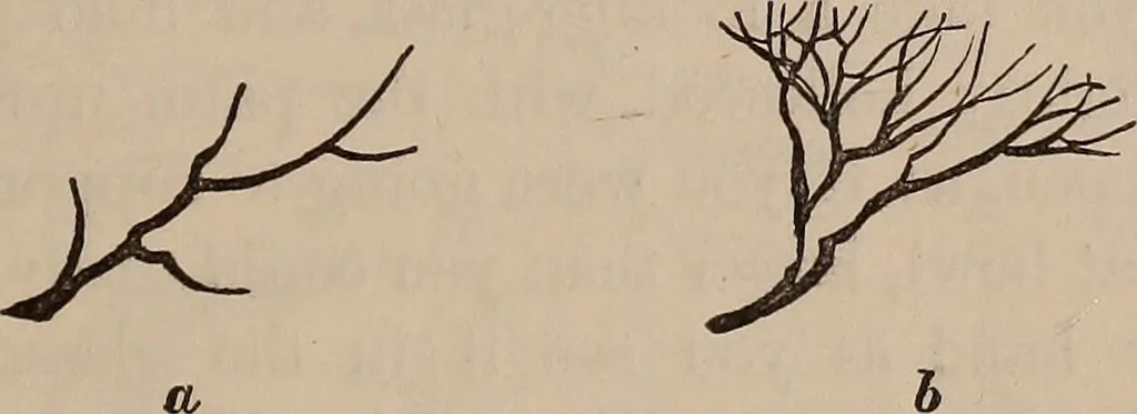 An illustration from Art culture : a hand-book of art technicalities and criticisms, 1873, leaf 294