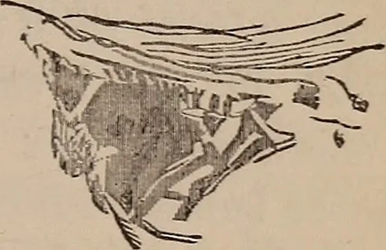 An illustration from Art culture : a hand-book of art technicalities and criticisms, 1873, leaf 308