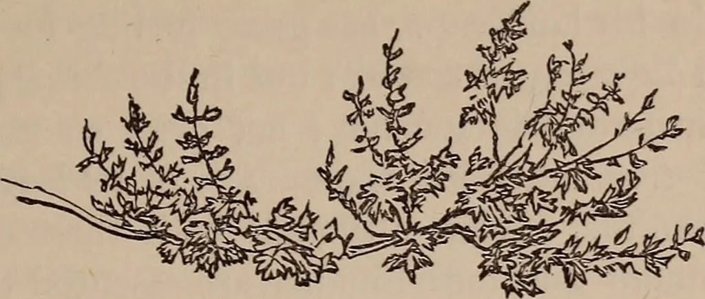 An illustration from Art culture : a hand-book of art technicalities and criticisms, 1873, leaf 318