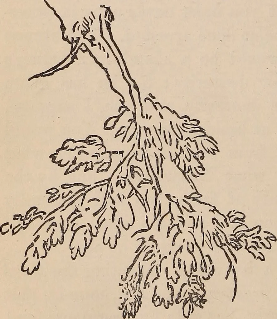 An illustration from Art culture : a hand-book of art technicalities and criticisms, 1873, leaf 323