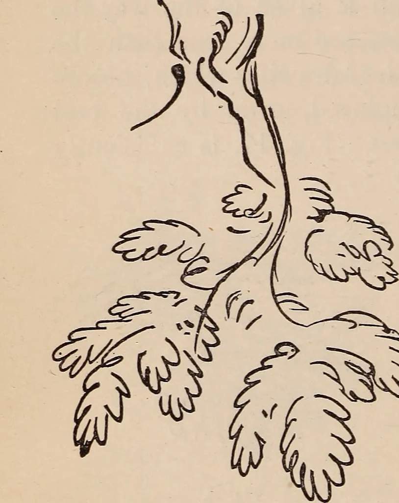 An illustration from Art culture : a hand-book of art technicalities and criticisms, 1873, leaf 325