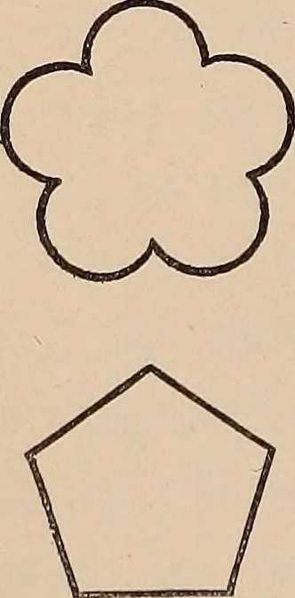 An illustration from Art culture : a hand-book of art technicalities and criticisms, 1873, leaf 67