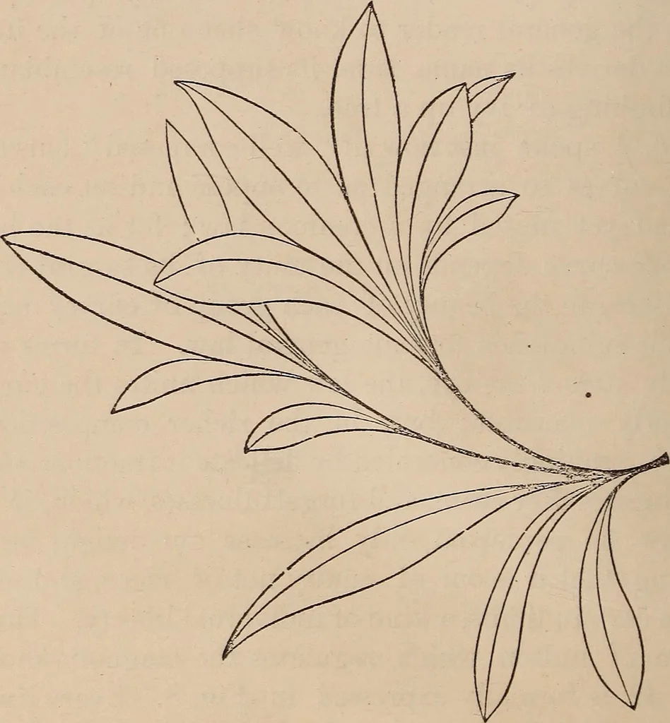 An illustration from Art culture : a hand-book of art technicalities and criticisms, 1873, leaf 85