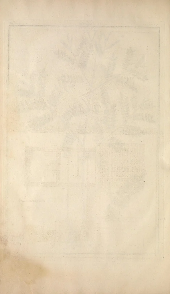 An illustration from L'art de l'indigotier, 1770, leaf 132