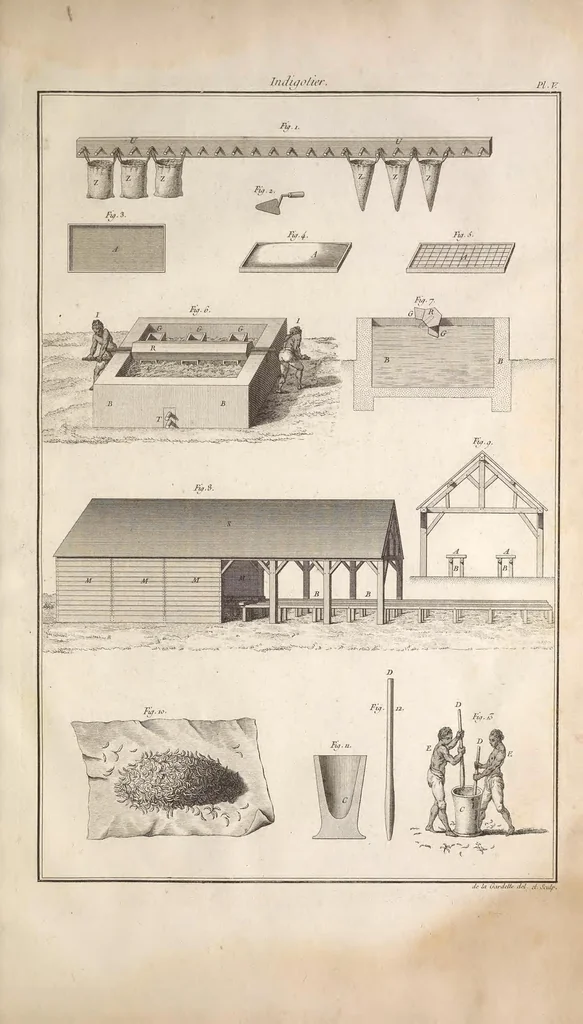 An illustration from L'art de l'indigotier, 1770, leaf 135