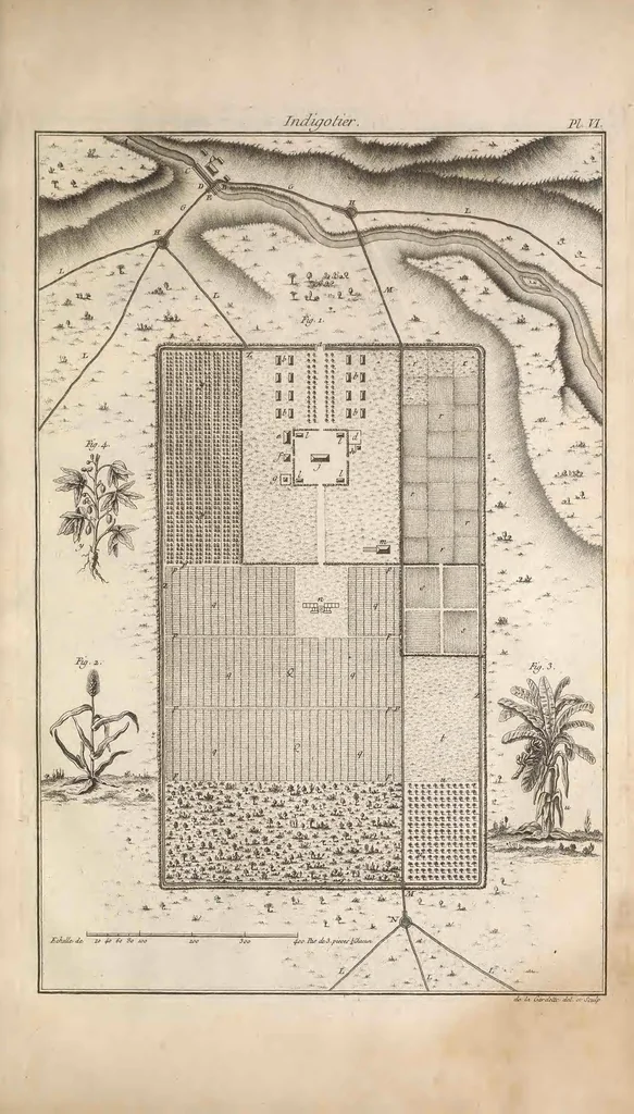 An illustration from L'art de l'indigotier, 1770, leaf 137