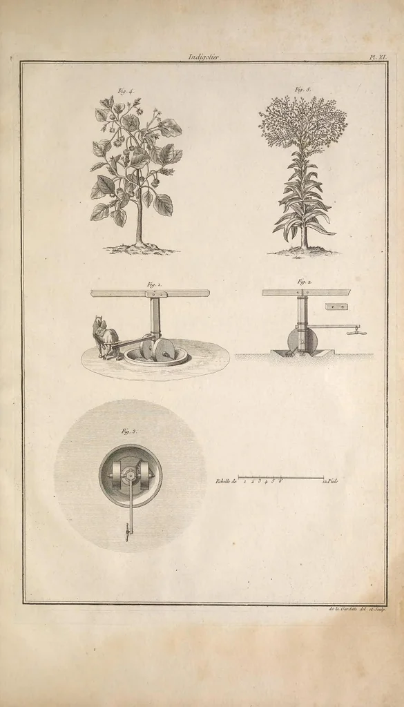 An illustration from L'art de l'indigotier, 1770, leaf 147