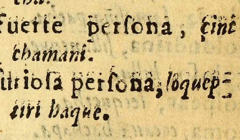 An illustration from Arte de la lengua aymara., 1616, leaf 121
