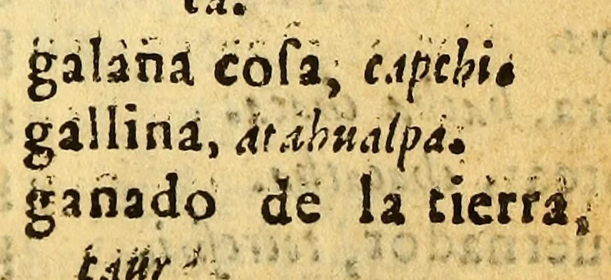 An illustration from Arte de la lengua aymara., 1616, leaf 121
