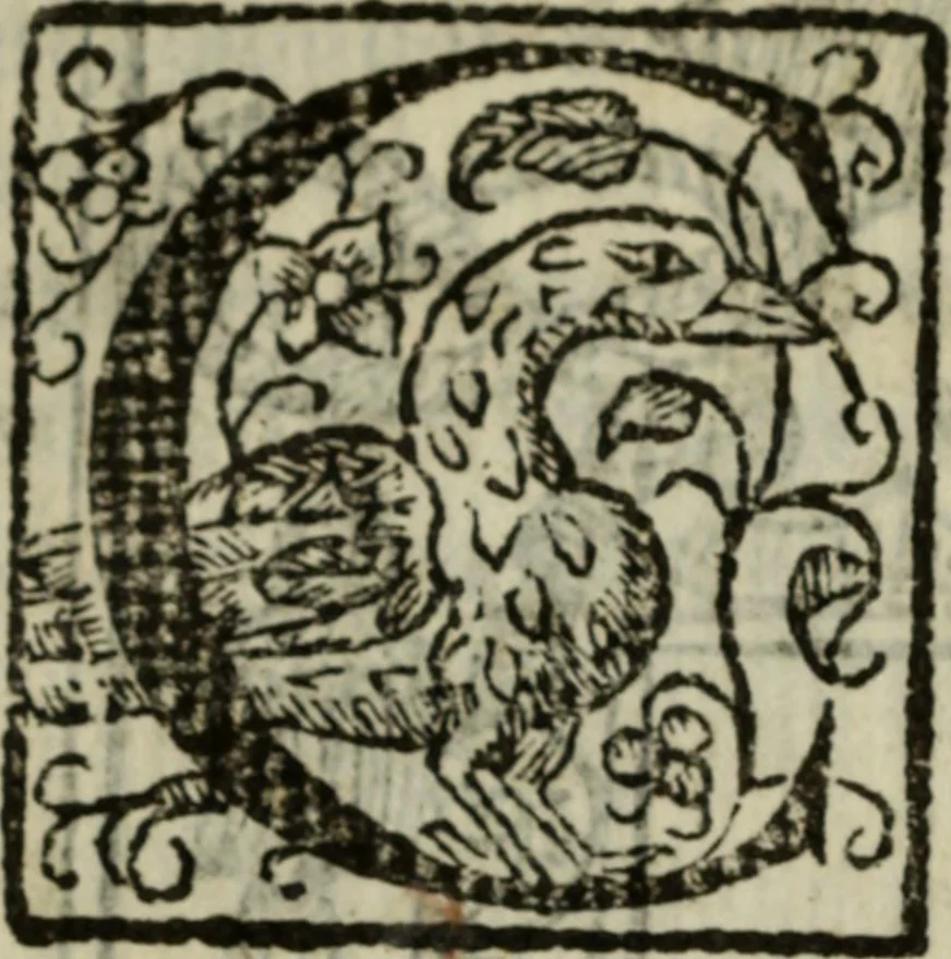 An illustration from Arte de la lengua mexicana con la declaración de las adverbios della.., 1645, leaf 13