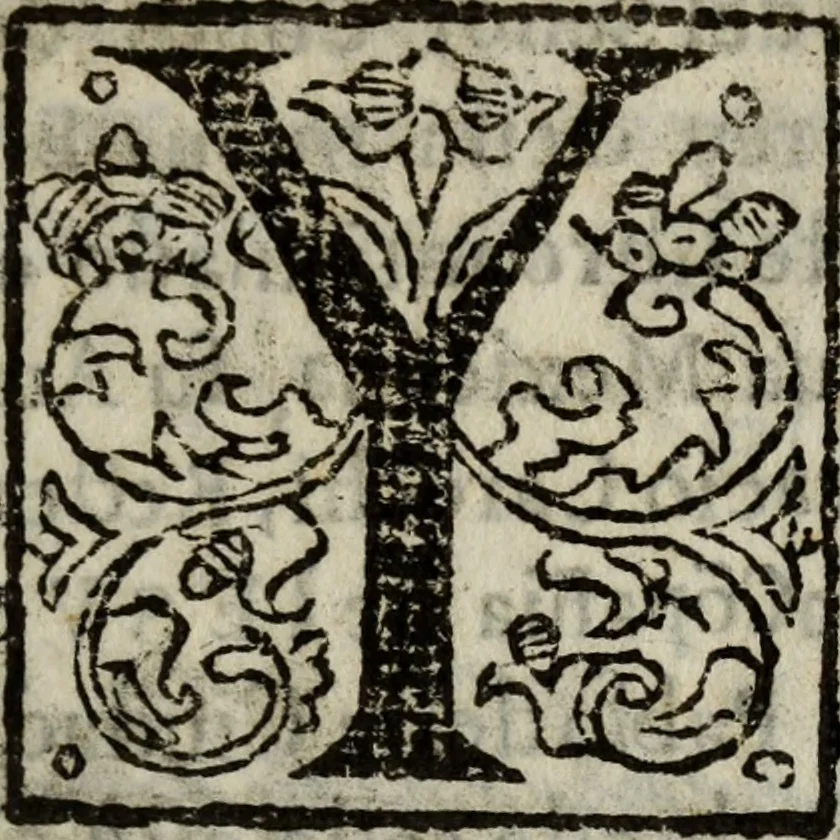 An illustration from Arte de la lengua mexicana con la declaración de las adverbios della.., 1645, leaf 8