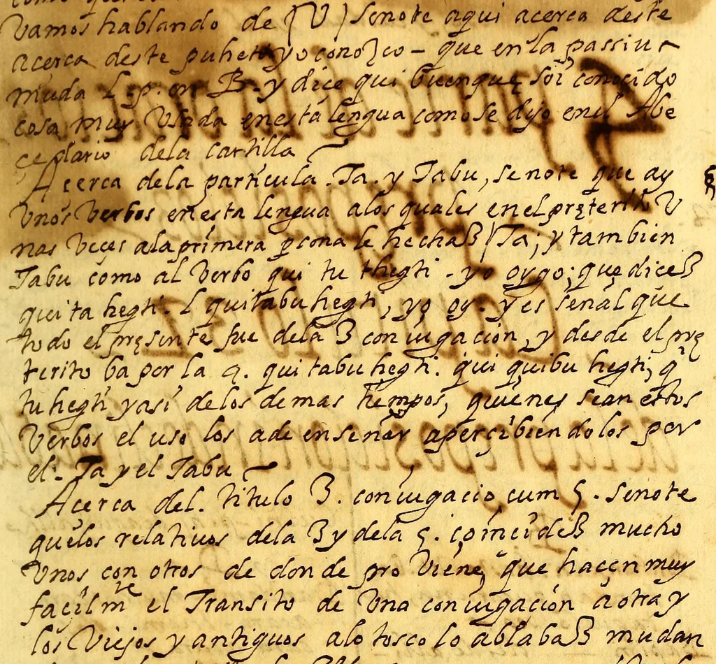 An illustration from Arte de la lengua matlaltzinga mui copioso y assi mismo una suma y arte abrebiado, 1640, leaf 203
