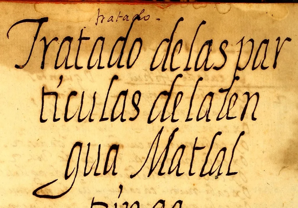 An illustration from Arte de la lengua matlaltzinga mui copioso y assi mismo una suma y arte abrebiado, 1640, leaf 220