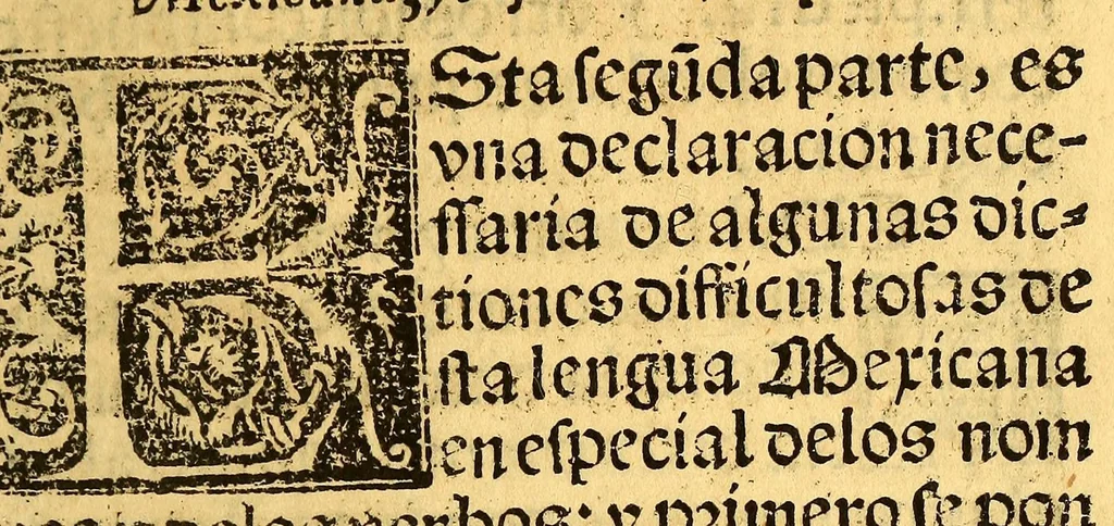 An illustration from Arte de la lengua mexicana y castellana,, 1571, leaf 177