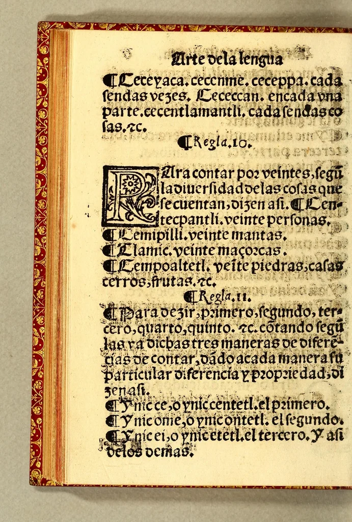 An illustration from Arte de la lengua mexicana y castellana,, 1571, leaf 188