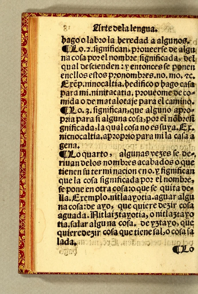 An illustration from Arte de la lengua mexicana y castellana,, 1571, leaf 212