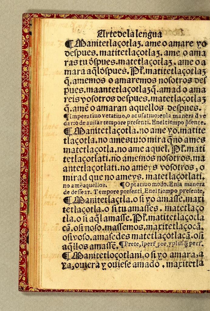 An illustration from Arte de la lengua mexicana y castellana,, 1571, leaf 68
