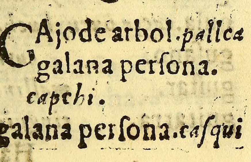 An illustration from Arte de la lengua quichua., 1619, leaf 153