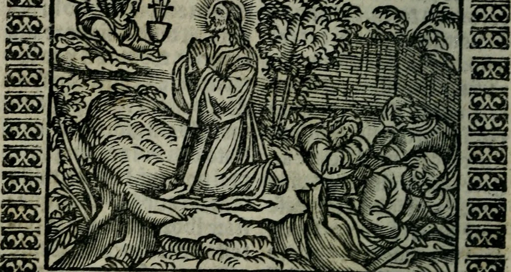 An illustration from Arte del ben psare e cõtemplare la passione del nostro Signor Jesu Christo con vn singular trattato dello imitar di Christo di nouo corretta historiata, 1527, leaf 155