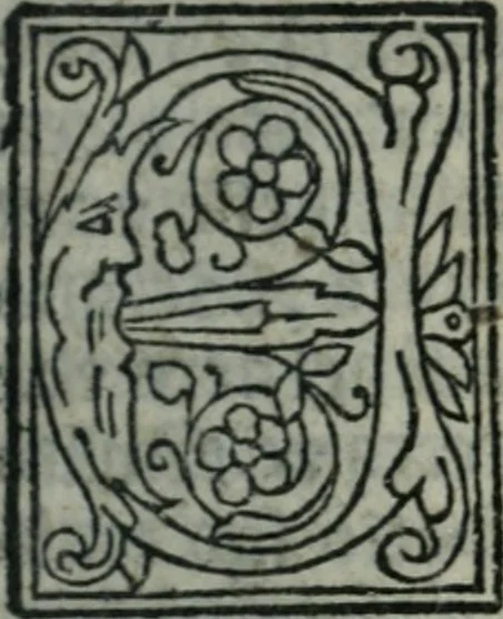 An illustration from Arte del ben psare e cõtemplare la passione del nostro Signor Jesu Christo con vn singular trattato dello imitar di Christo di nouo corretta historiata, 1527, leaf 244