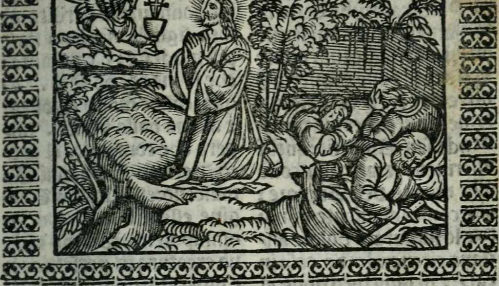 An illustration from Arte del ben psare e cõtemplare la passione del nostro Signor Jesu Christo con vn singular trattato dello imitar di Christo di nouo corretta historiata, 1527, leaf 8