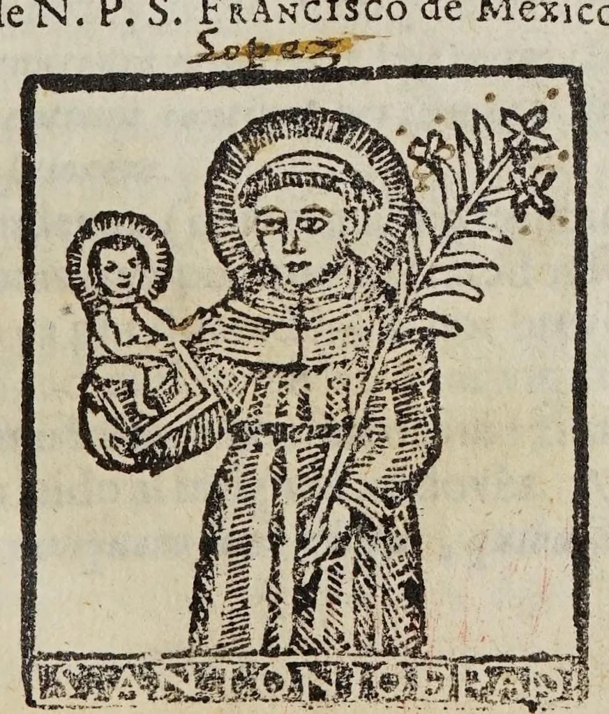 An illustration from Arte de lengua mexicana : dispuesto por orden, y mandato de N. Rmo P. Fr. Francisco Treviño, predicador theologo, padre de la santa provincia de Burgos, y comissario general de todas las de la Nueva-España, y por el reverendo, y venerable diffinitorio de la provincia del Santo Evangelio ; Dedicado al bienaventurado S. Antonio de Padua, 1673, leaf 3