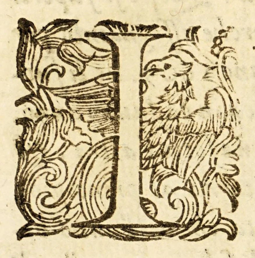 An illustration from Arte del nauigare, 1609, leaf 208