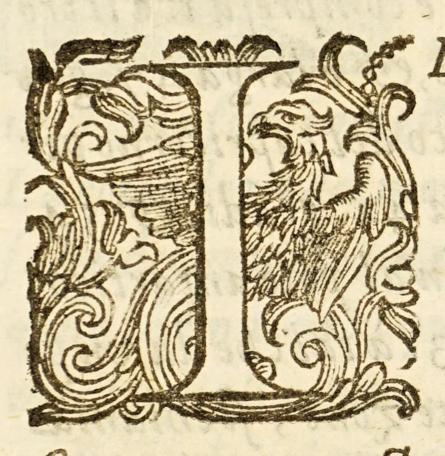 An illustration from Arte del nauigare, 1609, leaf 214