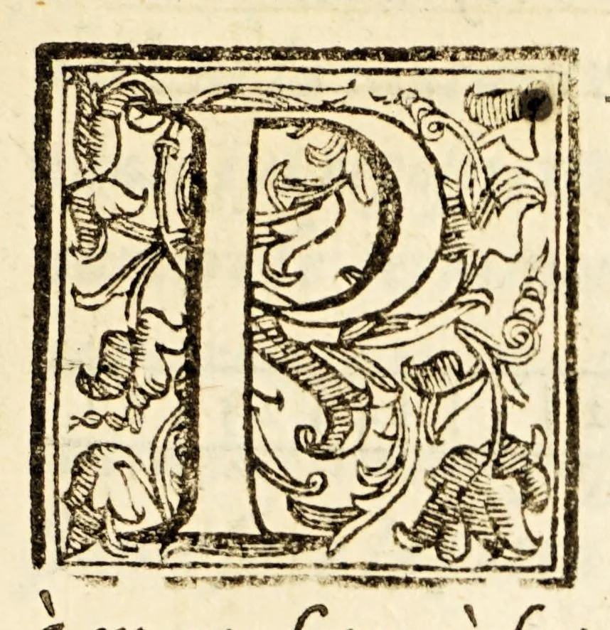 An illustration from Arte del nauigare, 1609, leaf 267