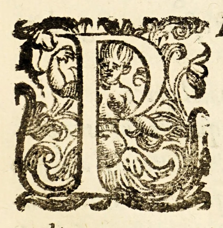 An illustration from Arte del nauigare, 1609, leaf 272