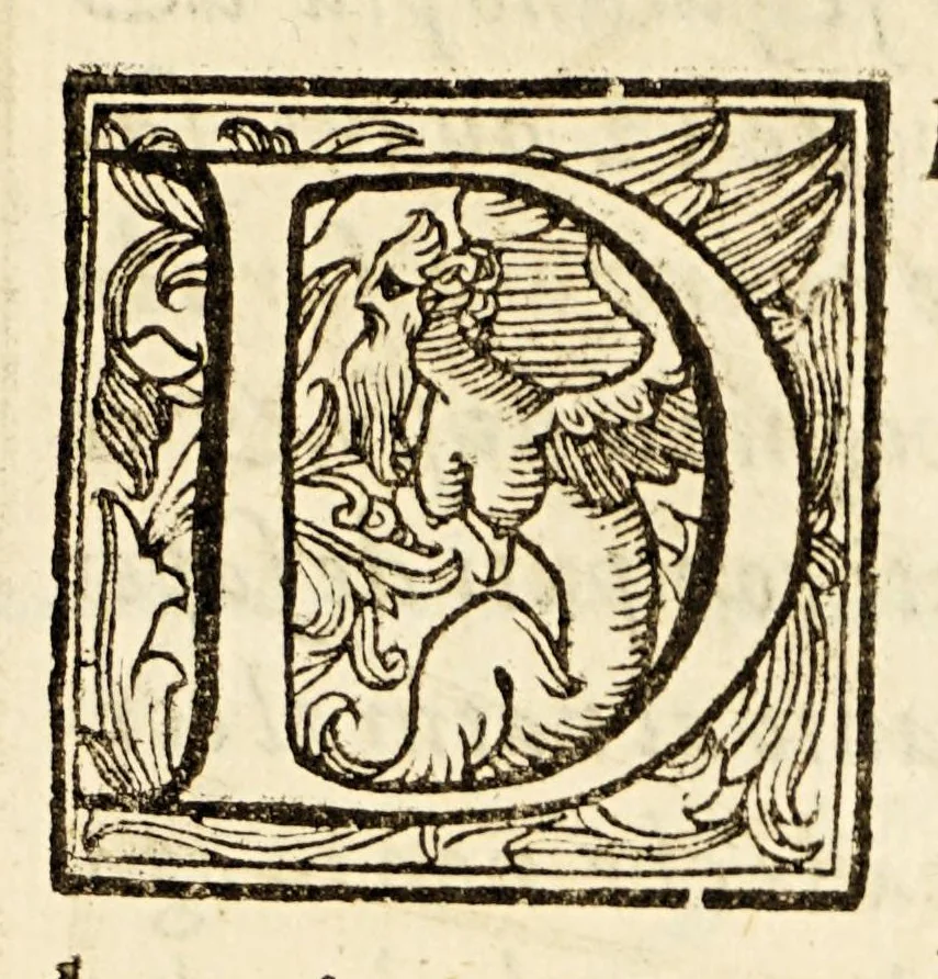 An illustration from Arte del nauigare, 1609, leaf 275