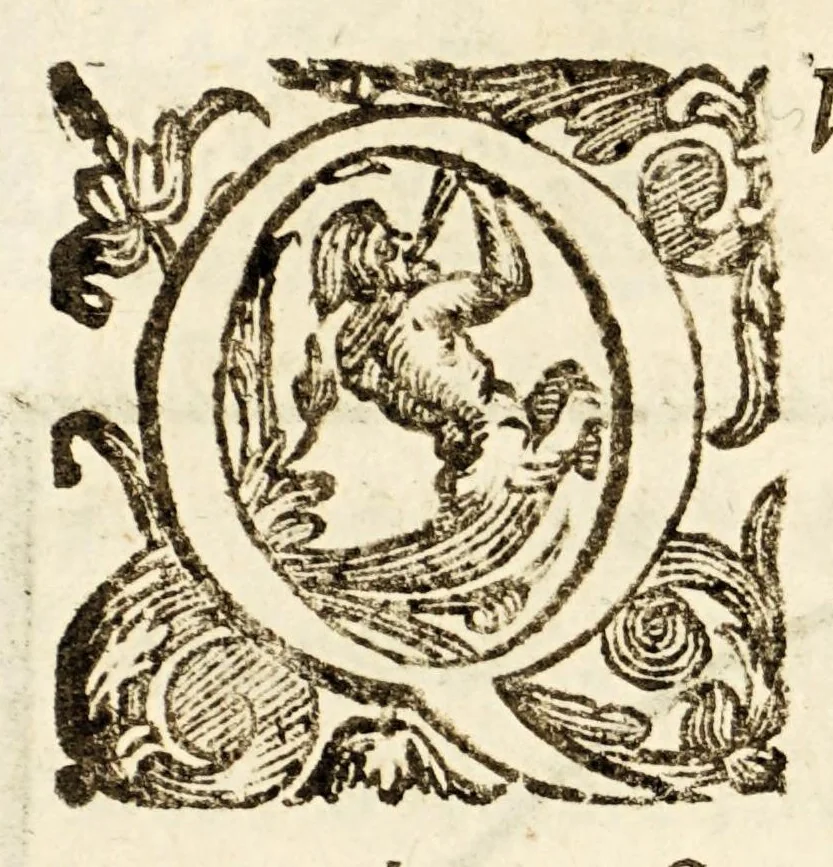 An illustration from Arte del nauigare, 1609, leaf 278