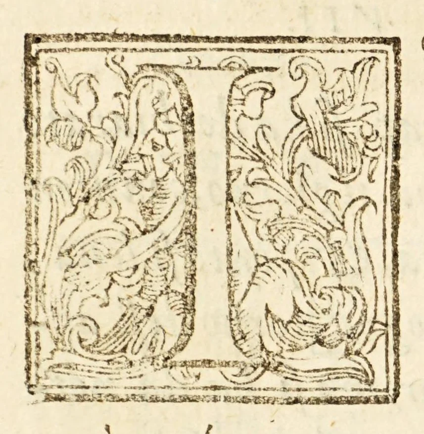 An illustration from Arte del nauigare, 1609, leaf 296