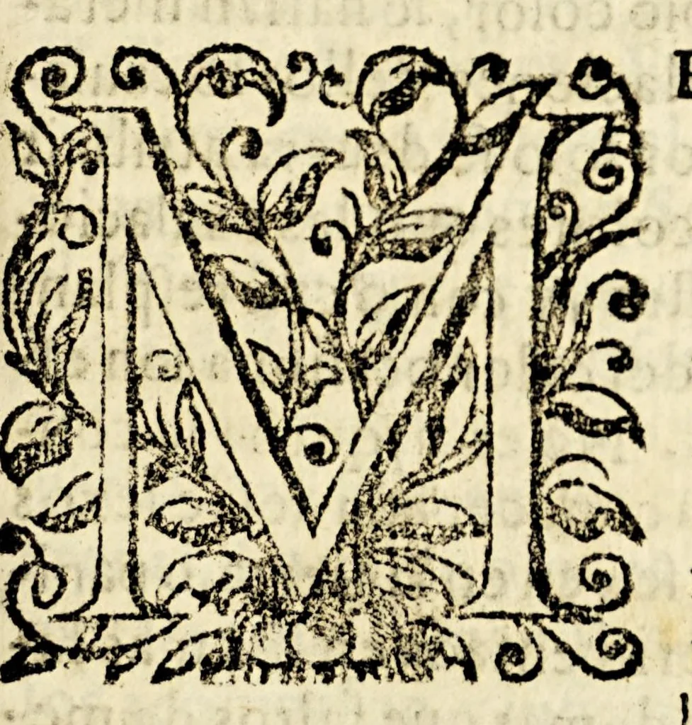 An illustration from Arte de los metales en que se enseña el verdadero beneficio de los de oro, y plata por açogue. : El modo de fundirlos todos, y como se han de refinar, y apartar vnos de otros., 1640, leaf 13