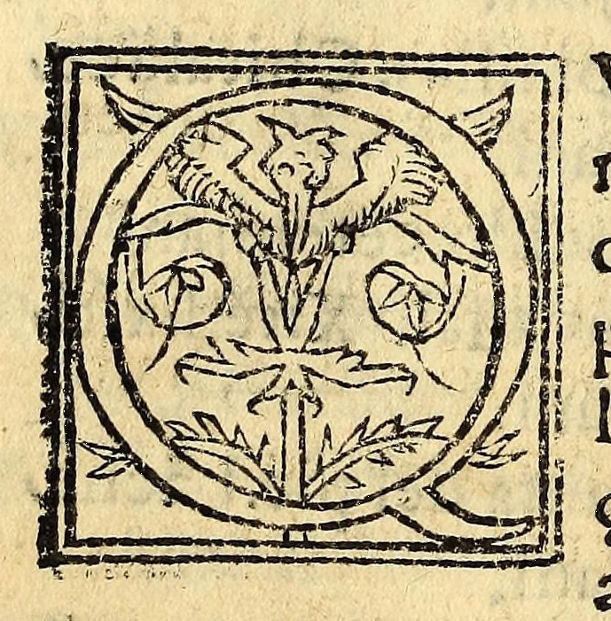 An illustration from Arte en lengua zapoteca,, 1578, leaf 248