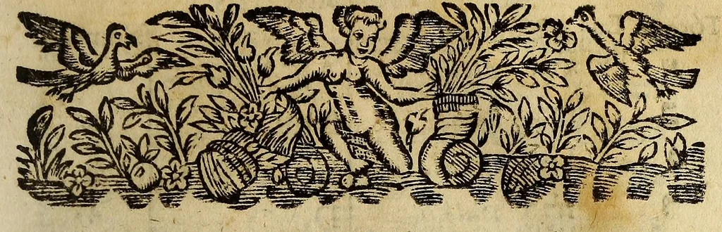 An illustration from Arte hebraispano. : [Hebrew characters] Dikduk leschon hakkodhesch bilschon sipharadhith. Grammatica de la lengua santa en idioma castellano: /cpor el R. P. F. Martin del Castillo, naturál de Búrgos: del Orden de N.P.S. Francisco, lector jubilado en sánta theología; y provinciál que à sido, en la província del S. Evangélio de México. ; Con todo lo necessario y preciso, pára por si sólo, qualquiér afficionádo, podér leér, escribir, entendér, y hablár la léngua santa hebréa, 1676, leaf 33