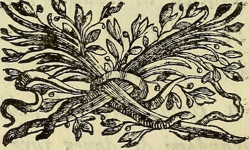An illustration from Arte magica dileguata, 1749, leaf 61