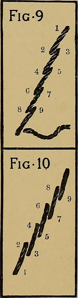 An illustration from Art embroidery: a treatise on the revived practice of decorative needlework, 1878, leaf 42