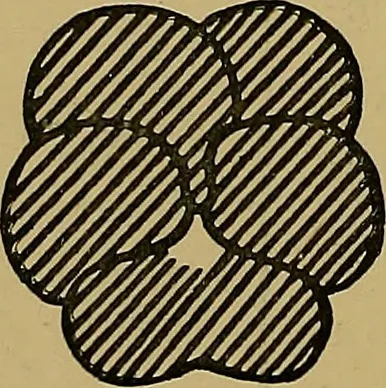 An illustration from Art embroidery: a treatise on the revived practice of decorative needlework, 1878, leaf 43