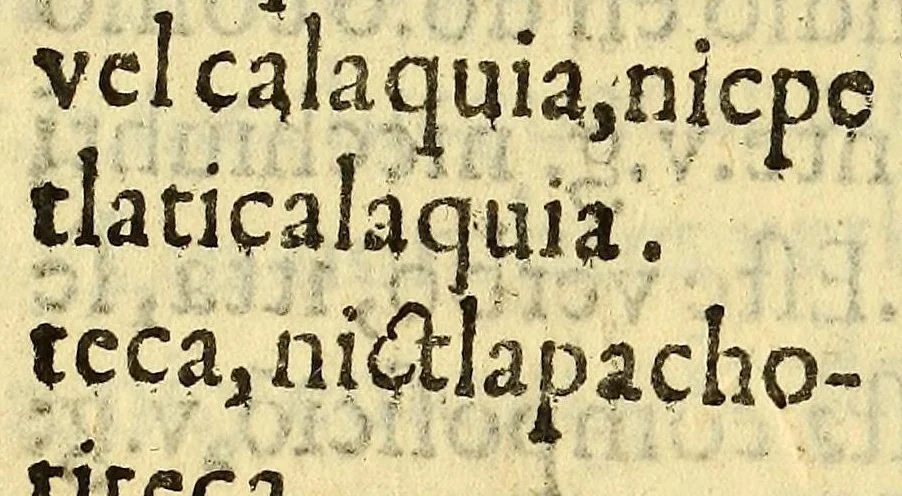 An illustration from Arte mexicana, 1595, leaf 122