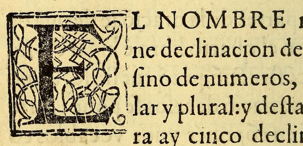 An illustration from Arte mexicana, 1595, leaf 22