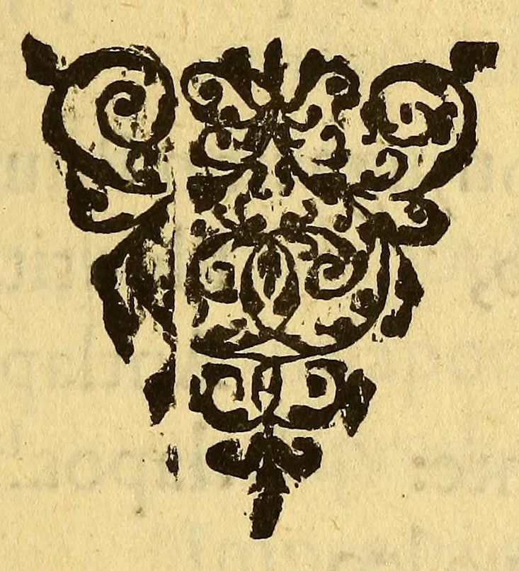 An illustration from Arte mexicana, 1595, leaf 43