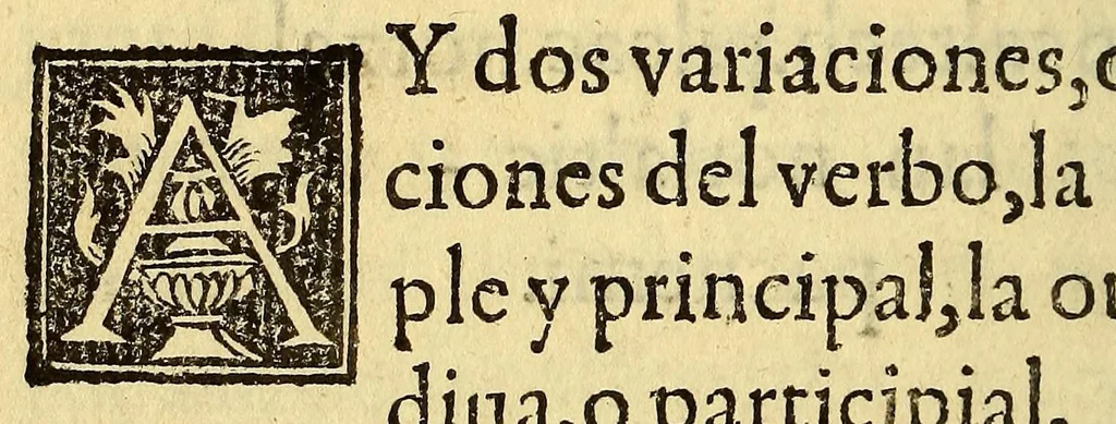 An illustration from Arte mexicana, 1595, leaf 44